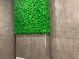 Стабилизированный мох, озеленение, фито-стена, Brus Decor Brus Decor 실내 정원