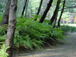 ACA11, Ambiente Arquitectos Asociados, S.A de C.V. Ambiente Arquitectos Asociados, S.A de C.V. Giardino in stile rustico