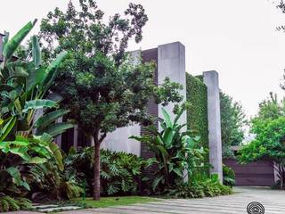 Casa FL • Proyecto residencial • Arquitectura paisajista // SPGG, Canelo exteriores Canelo exteriores Jardines en la fachada Verde
