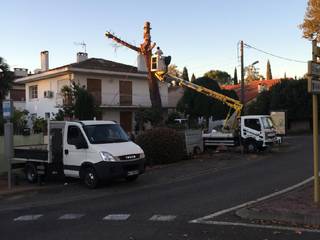 Élagage d'arbres à Bois-Le-Roi, Elagage Villiers Elagueur Bois-le-Roi 77 Elagage Villiers Elagueur Bois-le-Roi 77 Сад в классическом стиле