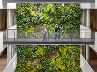 Giardino Verticale Interno, Sundar Italia - Giardini Verticali Sundar Italia - Giardini Verticali Оранжерея