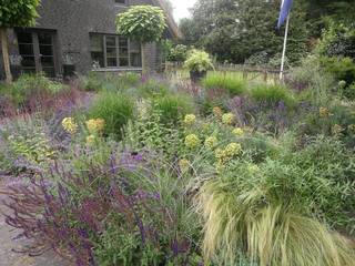 Purple mood, Rosin Manuel Garden deSign Rosin Manuel Garden deSign Modern Garden