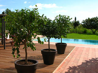 In Val di Magra, L'Eden L'Eden Giardino con piscina