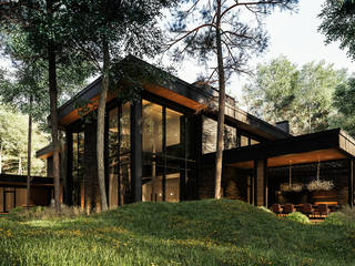 Wood house, Zikzak Zikzak Casas estilo moderno: ideas, arquitectura e imágenes