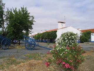 Quinta de Charme - V5 - Beja, Maria Helena Ciríaco Palma Maria Helena Ciríaco Palma Casas de campo