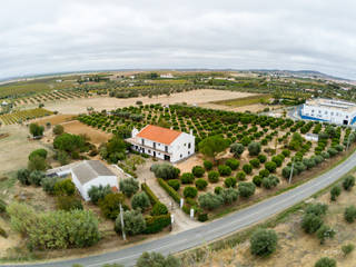 Quinta 5ha | Vidigueira| Alentejo, Maria Helena Ciríaco Palma Maria Helena Ciríaco Palma Villas