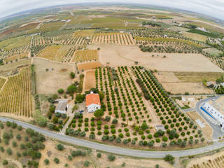 Quinta 5ha | Vidigueira| Alentejo, Maria Helena Ciríaco Palma Maria Helena Ciríaco Palma Villas