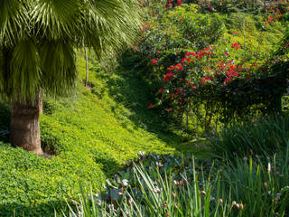 Residência em Nova Lima - MG, CP Paisagismo CP Paisagismo Jardines de estilo tropical