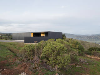 Casa del Peumo, Whale! Whale! Minimalist house Wood Wood effect