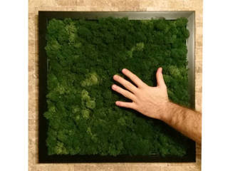 Sustainable moss art by reinist, Reinist / Reinistanbul Reinist / Reinistanbul حديقة داخلية