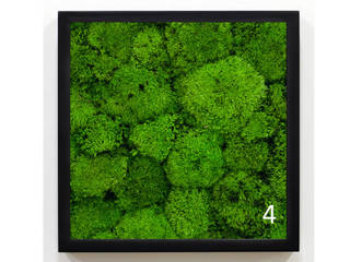 Sustainable moss art by reinist, Reinist / Reinistanbul Reinist / Reinistanbul Otros espacios