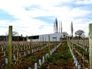 CASA T2, Llorca Durá Arquitectos Llorca Durá Arquitectos Jardines modernos: Ideas, imágenes y decoración