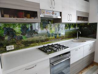 Скинали с фотопечатью, Pavlin Art Pavlin Art Kitchen design ideas Glass