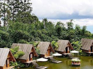 Trang trại sinh thái sầu riêng Tân Lâm Nguyên, Công ty TNHH TM DV BĐS An Tường Công ty TNHH TM DV BĐS An Tường Garden Shed