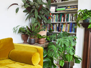 Interior Design Living Room with plants, Cuemars Cuemars Ruang Keluarga Modern