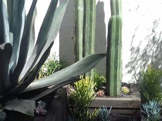 Casa de Alcazar, PR SUSTENTABLE PR SUSTENTABLE Eclectic style garden