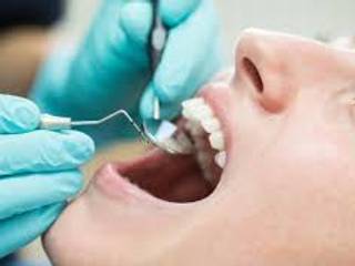 Gray Oak Family Dental