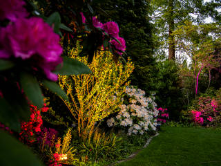 Ein Garten im neuem Licht, Moreno Licht mit Effekt - Lichtplaner Moreno Licht mit Effekt - Lichtplaner Vorgarten Mehrfarbig