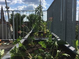 Dachterrasse mit Kunststoffgefäßen und autom. Bewässerung, Pflanz im Glück Pflanz im Glück 모던스타일 발코니, 베란다 & 테라스