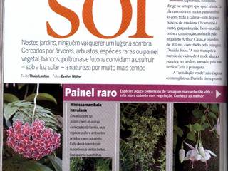 Jardim Tropical com Painel Vegetal - Revista Casa & Jardim, Daniela Sedo Paisagismo Daniela Sedo Paisagismo สวนหน้าบ้าน ไม้ Wood effect