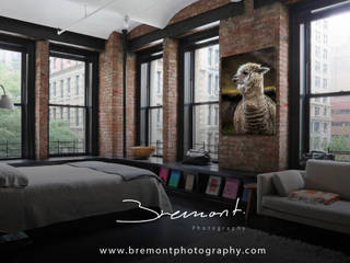 Tienda en Línea de Imágenes para Cuadros Decorativos para el hogar y oficina, Bremont Photography Cuadros para Decoración Bremont Photography Cuadros para Decoración Otros espacios