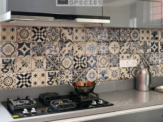 Modern eclectic Indian kitchen, DESIGN SPECIES DESIGN SPECIES Eclectic style kitchen Plywood