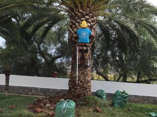 Poda y afeitado de tronco, las dos flores jardineria las dos flores jardineria 앞마당