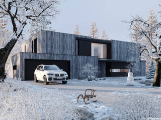 Villa project, Prague, Filipenka architect Filipenka architect فيلا باطون مسلح