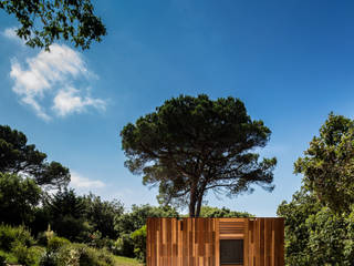 Refúgio em Madeira, Studio A+1 Studio A+1 Prefabricated home Wood Wood effect Céu,Plantar,Nuvem,Botânica,Verde,Paisagem natural,Árvore,Madeira,Sombra,Luz solar