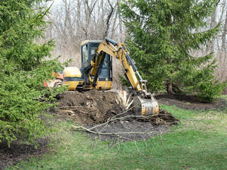 cover, Mcallen Tree Service Mcallen Tree Service غرف نوم صغيرة