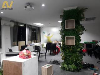 Construction of google representative office furniture in Hanoi, Anviethouse Anviethouse Interior garden Plywood