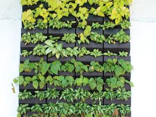 patented vertical green wall modules, Easygro Ecosystems LLP Easygro Ecosystems LLP Modern balcony, veranda & terrace Plastic