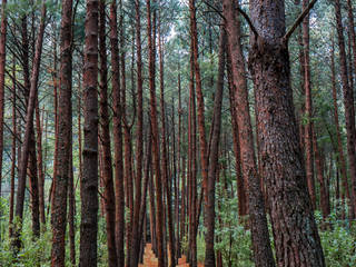 Naturaleza viva, Roberto Doger Fotografía Roberto Doger Fotografía Daha fazla oda