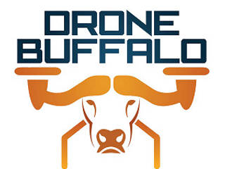 Drone Videography, Drone Buffalo Drone Buffalo カントリーデザインの リビング