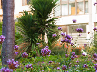 Jardín comunitario en Pedralbes, Soler Valiente Arquitectes Soler Valiente Arquitectes Moderner Garten