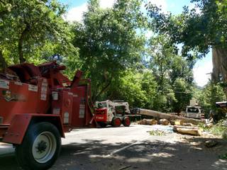 Galveston Tree Service Pros, Galveston Tree Service Pros Galveston Tree Service Pros 정원 연못