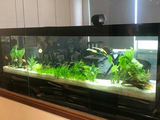 See Through Aquarium - Office, Seazone Seazone 상업공간