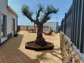 Plantação de oliveiras centenárias, Catobranco Lda Catobranco Lda Jardines zen Madera Acabado en madera