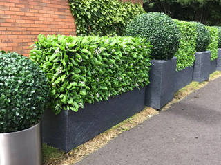 Artificial Hedge Planters as Space Dividers or Privacy Screens, Sunwing Industrial Co., Ltd. Sunwing Industrial Co., Ltd. Commercial spaces Wood-Plastic Composite