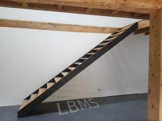 Escalier métallique deux limons latéraux, LBMS. Fabrice Lamouille LBMS. Fabrice Lamouille 樓梯 金屬