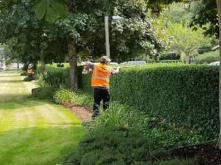 Abilene Tree Trimming, Abilene Tree Trimming Abilene Tree Trimming Balcón