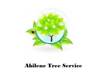 Abilene Tree Service, Abilene Tree Service Abilene Tree Service Ruang Keluarga Gaya Country