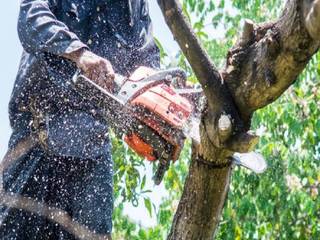 Abilene Tree Service, Abilene Tree Service Abilene Tree Service Ruang Keluarga Gaya Country