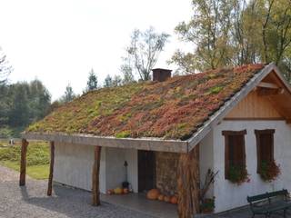 Dach zielony, GREENFOND POLSKA SPÓŁKA Z OGRANICZONĄ ODPOWIEDZIAL GREENFOND POLSKA SPÓŁKA Z OGRANICZONĄ ODPOWIEDZIAL Flat roof