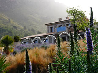 Mediterranean Oasis, Mashamba Garden & Terrace Design Mashamba Garden & Terrace Design Jardines de estilo mediterráneo