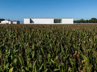 Casa na Póvoa, Luís Peixoto, Arquitecto Luís Peixoto, Arquitecto Single family home