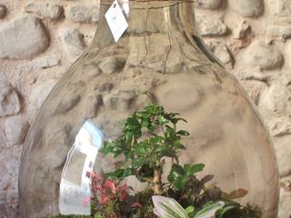 Terrarium Damigiana 25litri, Il Giardino di Vetro Il Giardino di Vetro
