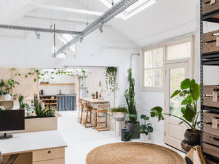 WN Studio + Store, Ashley Cross, WN Interiors + WN Store WN Interiors + WN Store Moderne Wohnzimmer