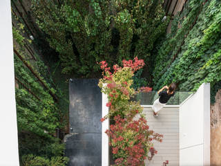 Patio en Centro de Sevilla, Marta Puig de la Bellacasa Marta Puig de la Bellacasa Jardines de estilo minimalista