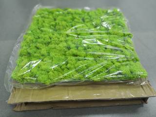 Reindeer Moss for Interior Plantscape, Sunwing Industrial Co., Ltd. Sunwing Industrial Co., Ltd. مساحات تجارية